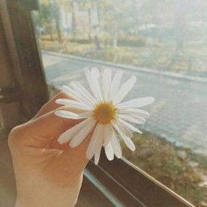 Meet your Posher, Phamdang